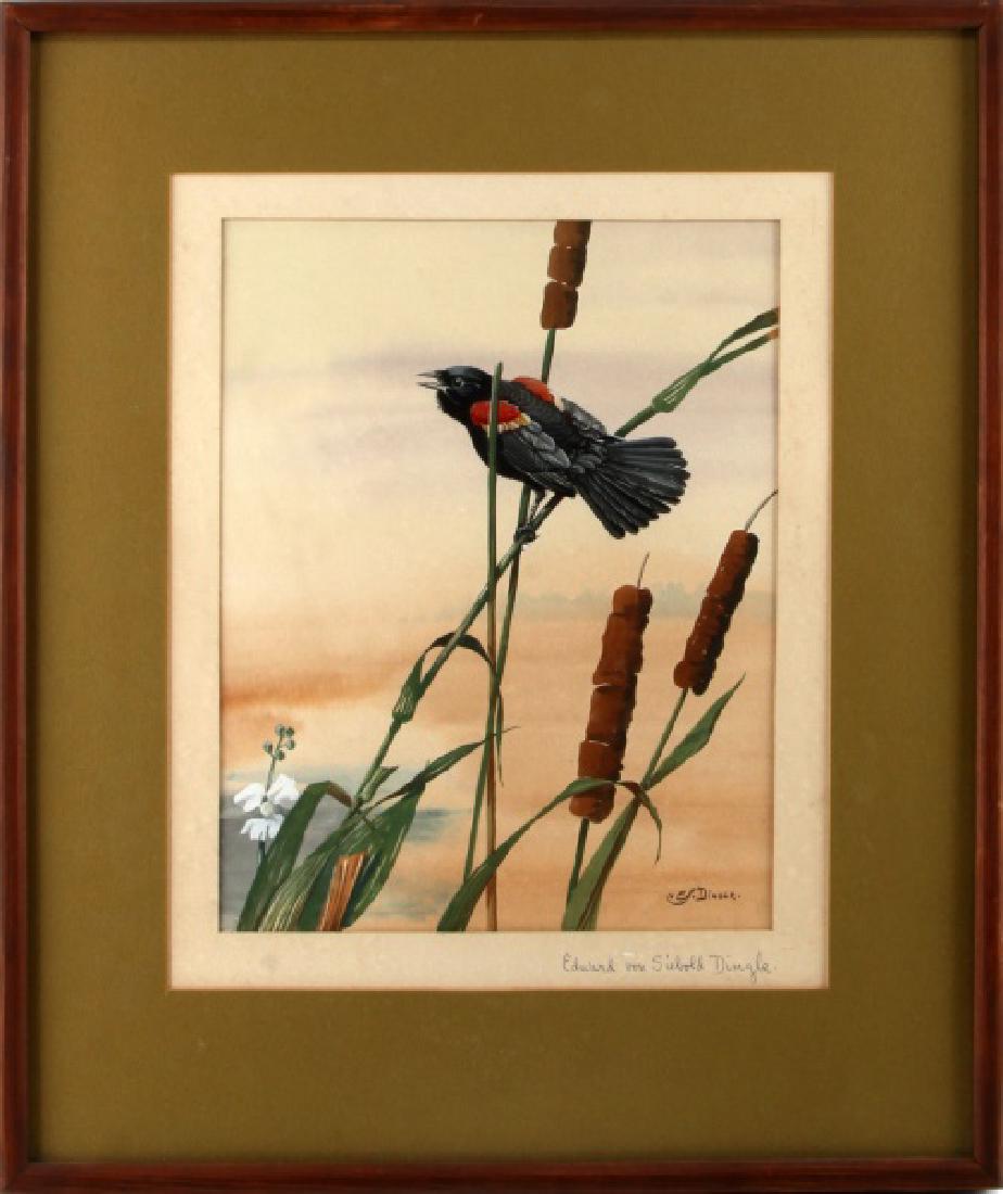 EDWARD DINGLE WATERCOLOR RED WINGED BLACKBIRD: Double signed by Charelston South Carolina artist Edward von Siebold Dingle(1893-1975). This watercolor of a Red Winged Blackbird in the Cattails measures image 14 by 11 inches, mated and framed 23 1/