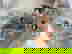 item-3409491=3