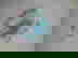 item-3409491=6