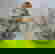 item-3409491=7