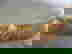item-3409491=8