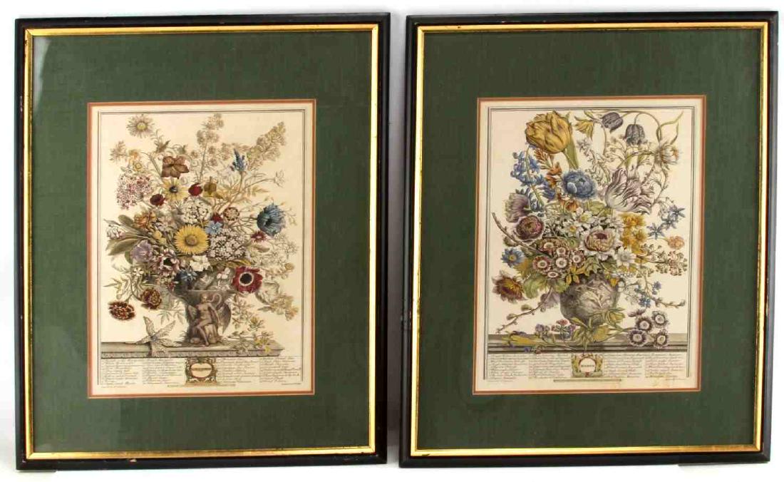2 ANTIQUE HAND COLORED ENGRAVING BRITISH BOTANICAL: Lot of 2 Henry Fletcher (British 18th c.)- ''November'' and "March"- engraving with hand-coloring, designed by Peter Gafsteels, engraved by H. Fletcher., From the Collection of Rob Furber Gardiner at 