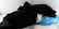 MIXED US MILITARY LOT NAVY PEACOAT CLOAK UNIFORM