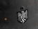 WWII GERMAN THIRD REICH VET PAINTED M40 HELMET - 6