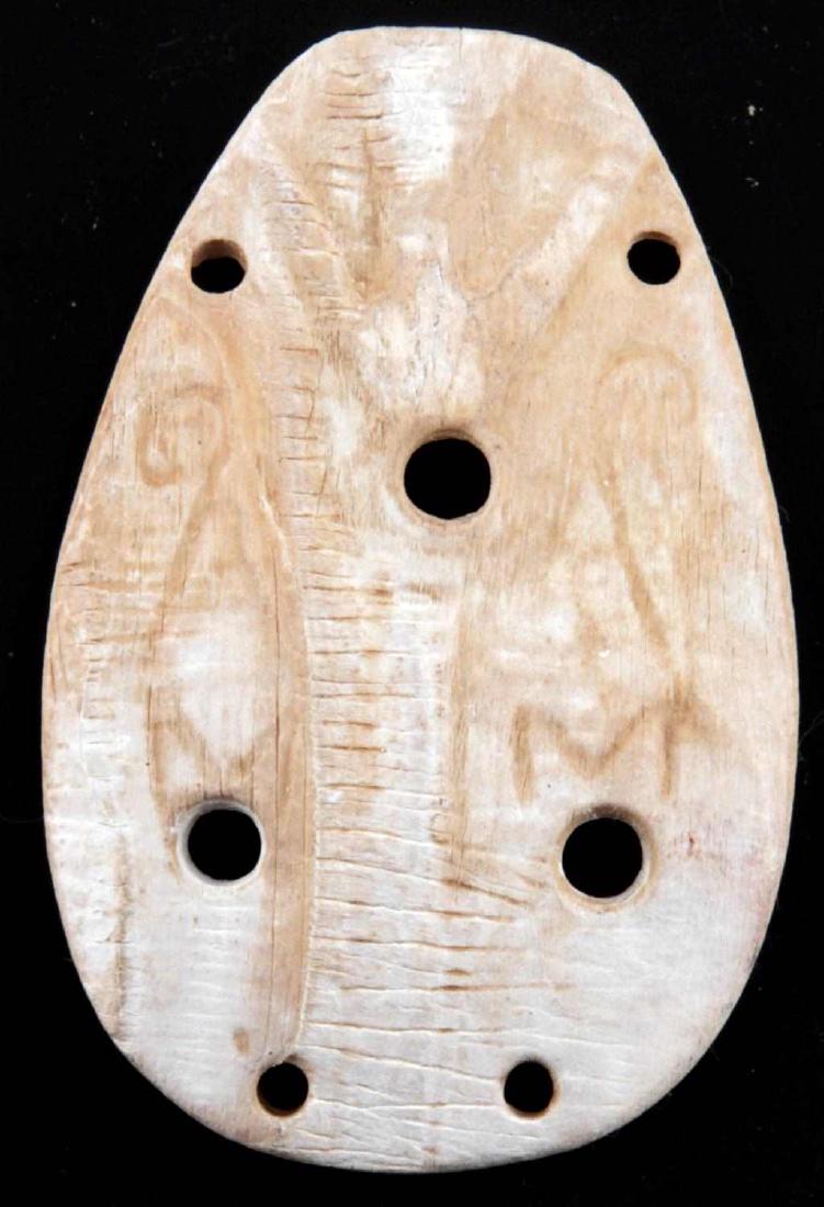 WOODLAND PERIOD SHELL 5 HOLE GORGET: Tennessee collection, polished shell measuring 2.5 inches. 17