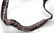 WWII GERMAN SS BUCKLE PATCH & SWORD KNOT LOT OF 6 - 3