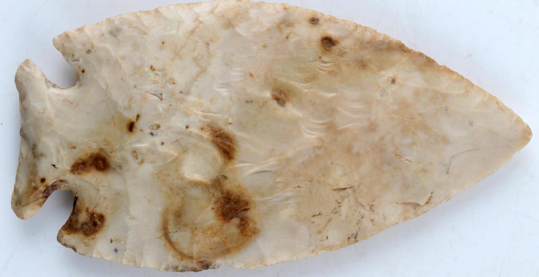 ARCHAICH BASAL NOTCHED 6 INCH ARROWHEAD: From a long time Shelby County Tennessee collection over 100 years old, Lost Lake or Kirk type, free of alterations or repairs, well patinated flint.