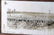 WWI & WWII US MILITARY YARDLONG PHOTOGRAPH LOT - 3