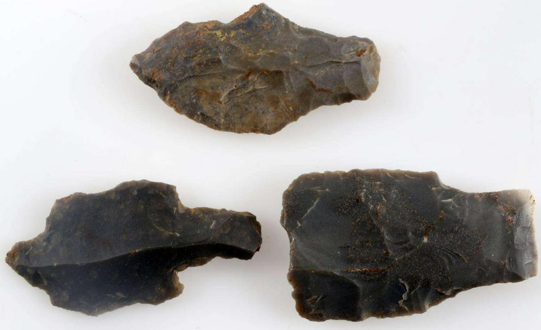 NATIVE AMERICAN ARROWHEAD & BLUNT LOT OF THREE: Lot contains two stone arrowheads and one blunt. All were found in Logan County, KY by Paul Mays. All measure about 2 1/8 inches in length.
