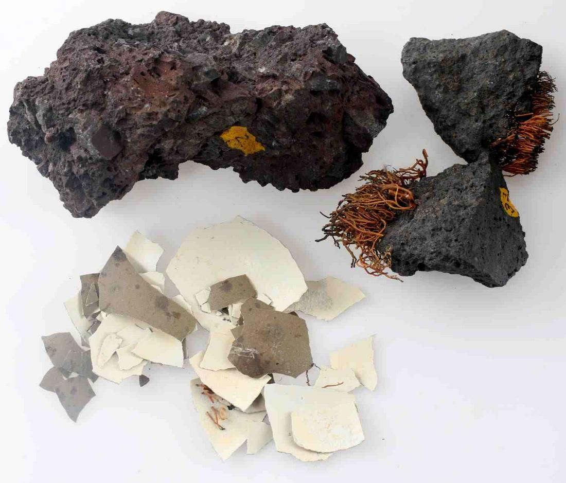 ANTARCTIC VOLCANIC ROCK & PENGUIN EGGSHELL: This lot includes 3 volcanic rocks and pieces of a penguin egg from Antarctica. Recovered by Ensign Earl Johnson from the USCGC Northwind during Operation Deep Freeze II in 1957. Rocks have tundra mos