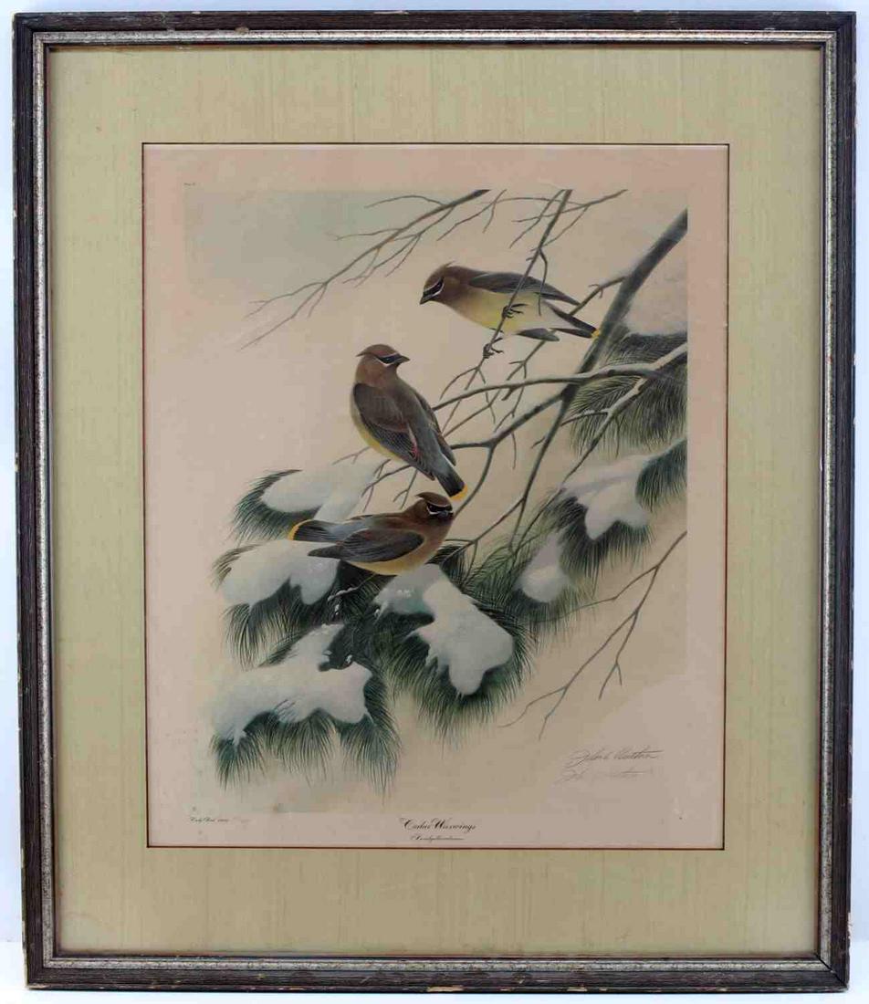 JOHN A RUTHVEN CEDAR WAXWINGS SIGNED LITHOGRAPH: Framed lithograph titled "Cedar Waxwings" from the Early Bird Series. Signed in plate and in pencil at bottom right "John A. Ruthven" Numbered 70/600. Measures 18.5 inches by 22.25 inches sight and 26