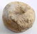 WOODLAND PIPE MAMMOTH BONE DISCOIDAL ARROWHEAD - 4