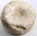 WOODLAND PIPE MAMMOTH BONE DISCOIDAL ARROWHEAD - 5