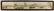 YARD LONG FRAMED PHOTOGRAPH OF CABBAGE ALAMO TX