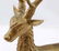 LYING REINDEER BRASS FIGURE STATUE GILT - 2