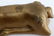 LYING REINDEER BRASS FIGURE STATUE GILT - 4