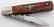 WWII GERMAN 3RD REICH NSDAP POCKET KNIFE EICKHORN