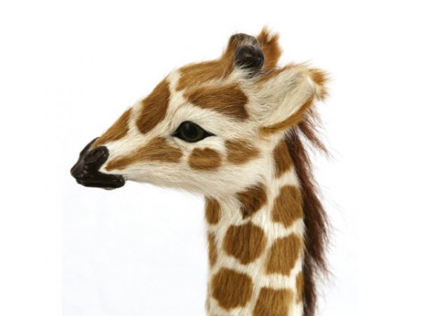 HUGE COLLECTION OF GIRAFFES LEATHER PLASTIC - 2