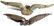 VINTAGE BRONZE BRASS FEDERAL EAGLE PEDIMENT - 2