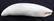 SCRIMSHAW READY RAW POLISHED WHALE TOOTH