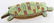 2 LEATHER BELLY BEADED PLAINS INDIAN FETISH LIZARD - 2