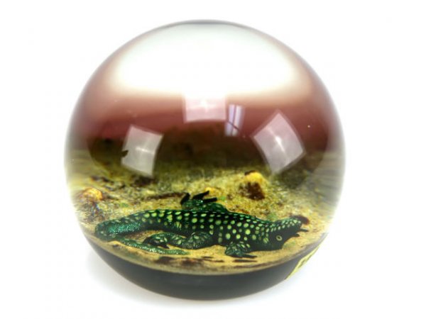 WILLIAM MANSON SIGNED PAPERWEIGHT LOT SNAKE FISH - 3
