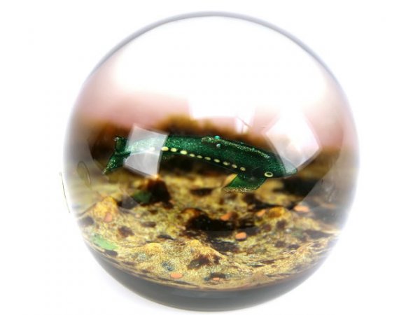 WILLIAM MANSON SIGNED PAPERWEIGHT LOT SNAKE FISH - 4