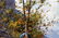 OIL ON CANVAS IMPRESSIONISTIC FRENCH CITYSCAPE - 4
