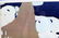 KANDINSKI MODERNIST HAND COLORED OFFSET PRINT - 2