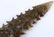 LOT OF THREE MID TO LATE ARCHAIC ARROWHEADS - 7
