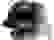 item-81037715=2