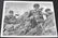 WWII GERMAN WAFFEN SS SOLDIER POST CARD LOT OF 4 - 8