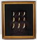 PREHISTORIC FOSSIL CAVE BEAR TEETH IN DISPLAY - 2