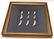 PREHISTORIC FOSSIL CAVE BEAR TEETH IN DISPLAY - 3