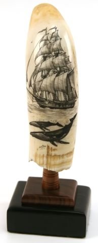 doug tooth scrimshaw lahaina