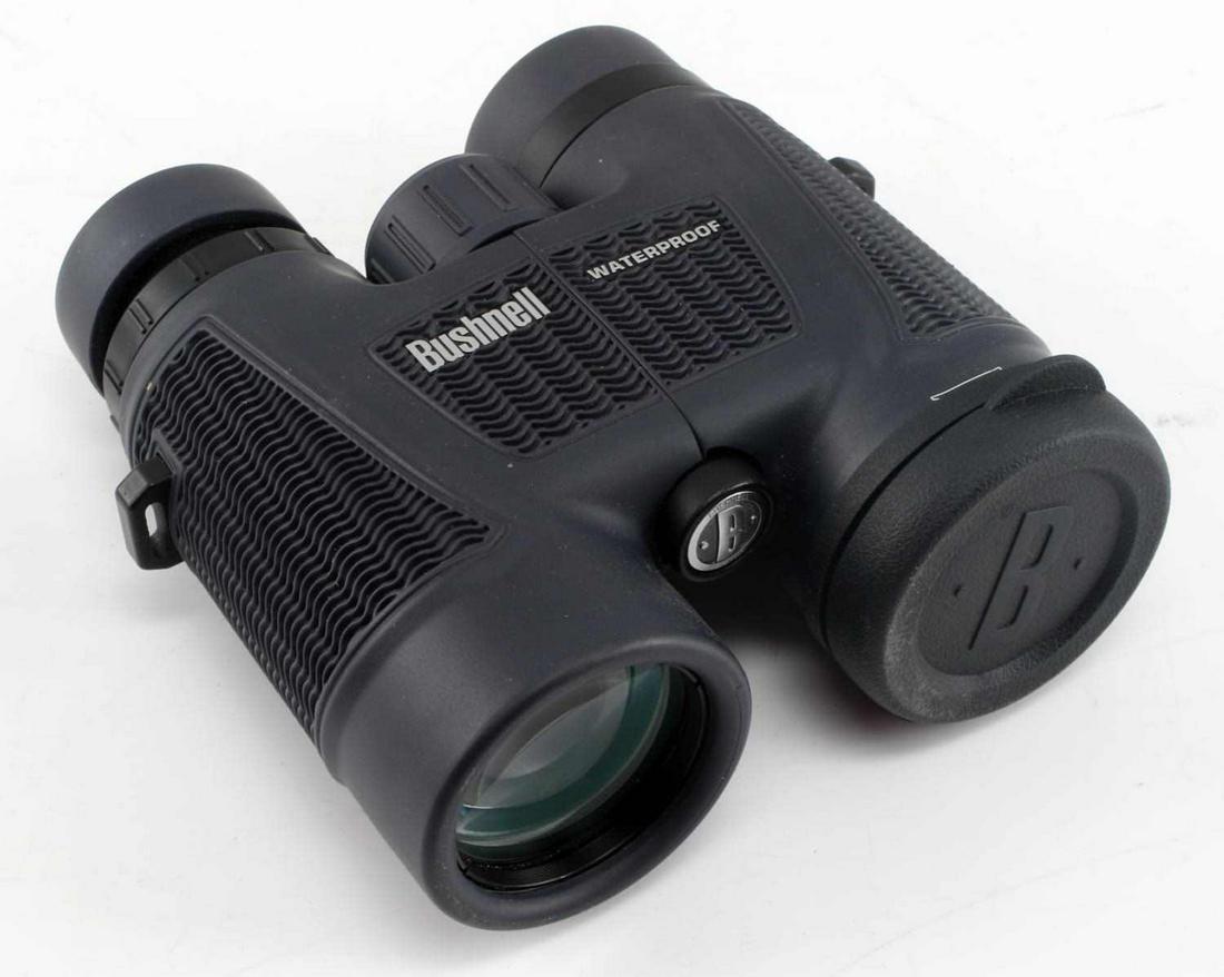 BUSHNELL WATERPROOF 10 X 42 BINOCULARS: In good condition, as view is clear and focus is clean. Missing one lens cap.