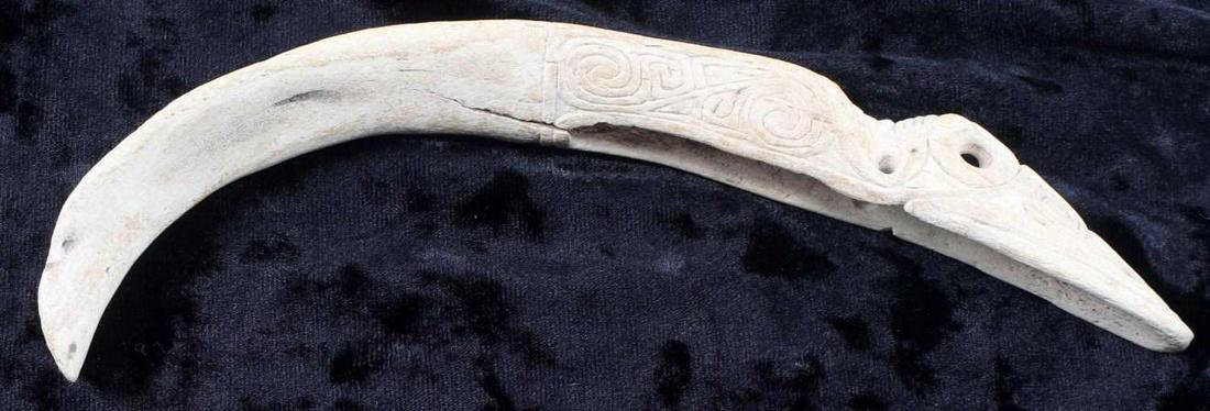 PRECOLUMBIAN TAINO MANATEE BONE PURGING SPATULA: Bird carved from manatee bone similar to a purging spatula or vomit stick. Measures approximately 10 inches. From the Roberts collection, author of “Taino Sculpture, Art of the Gods” and “Taino