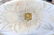 WWII GERMAN OFFICER'S 6 SCHNAPPS CUPS WITH TRAY - 2