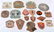 LOT OF 18 VIETNAM WAR ERA US ARMY & USMC PATCHES - 5