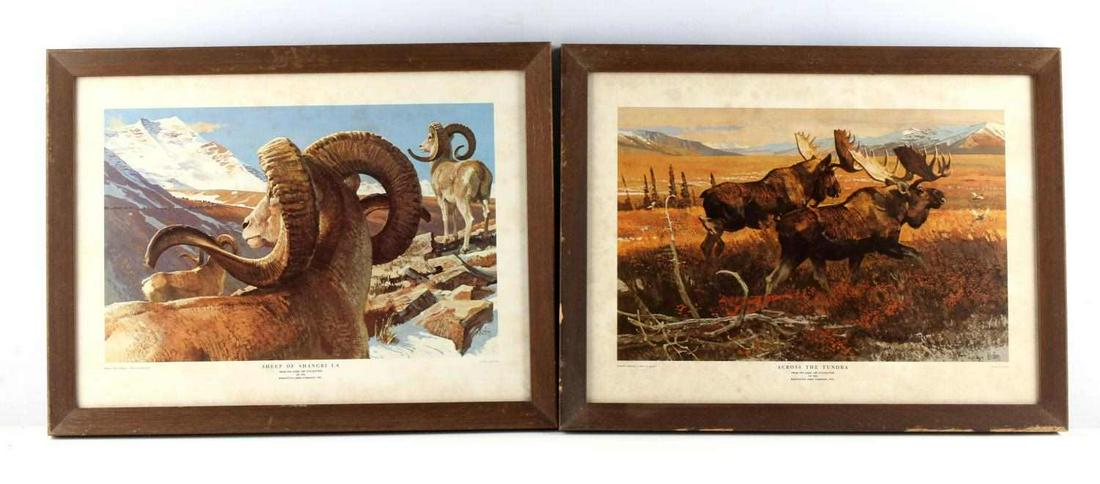 2 REMINGTON PRINTS SHEEP SHANGRI LA ACROSS TUNDRA: Includes "Sheep of Shangri La" and "Across the Tundra" by Kuhn. In wooden frame with paper backing, measures 18 X 14 inches. Good condition.