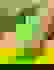 item-818568=5