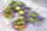 item-822114=3