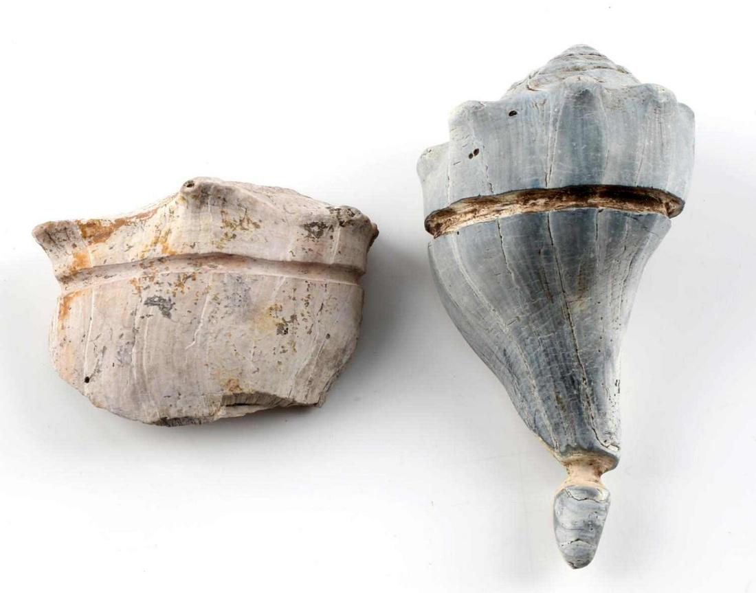 LOT OF 2 SOUTHEASTERN NATIVE AMERICAN SHELL GORGET: Two example of construction gorgets, one from Green Mound in Florida, one unknown. Both show the beginning construction for Gorgets showing the way they are cut. The bluish grey one measures 4 x 2 1/2