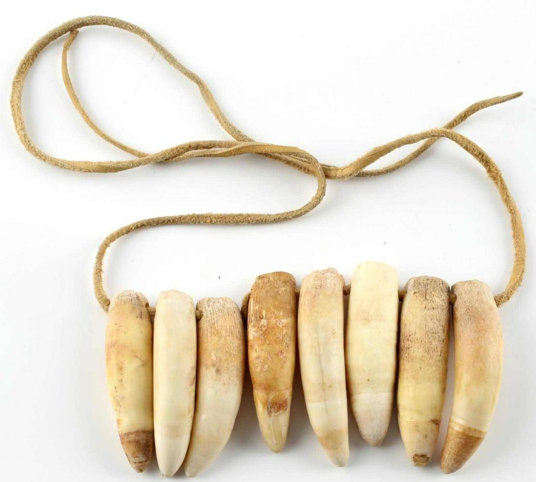 Northwest Coast Indian Orca Tooth Necklace