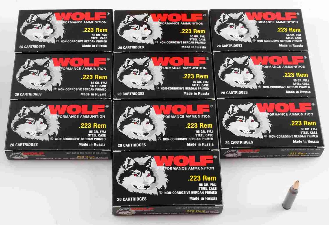 200 ROUNDS OF .223 REMINGTON FMJ 55 GR WOLF AMMO: 200 rounds (10 boxes) of .223 Remington FMJ 55 grain Wolf ammunition. New in box.