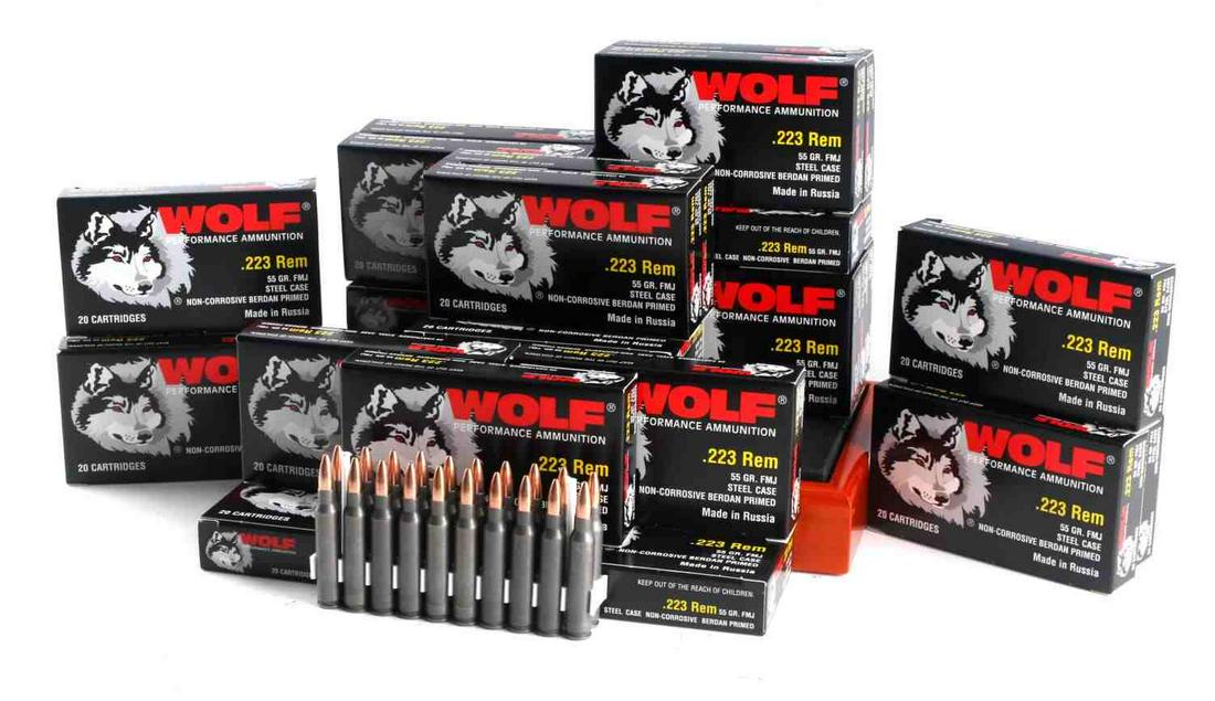 500 ROUNDS OF .223 REMINGTON FMJ 55 GR WOLF AMMO: 500 rounds (25 boxes) of .223 Remington FMJ 55 grain Wolf ammunition. New in box.