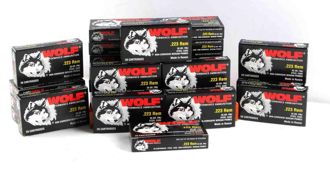 500 ROUNDS OF .223 REMINGTON FMJ 55 GR WOLF AMMO: 500 rounds (25 boxes) of .223 Remington FMJ 55 grain Wolf ammunition. New in box