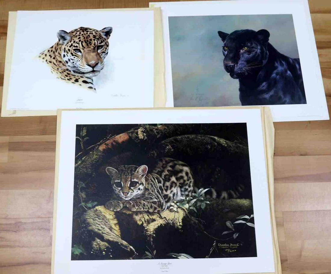 3 FRACE HUNT WILDLIFE CAT SIGNED LE LITHOGRAPHS: Charles Frace (1926-2005), American, Photorealism, Wildlife artist. Alan Hunt (1947-), British, Photo-realism, Wildlife artist and Zoologist. Lot of 3 jaguars and margay cat lithographs. Title: "Jagua