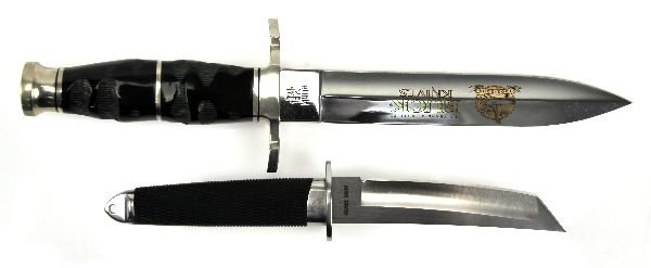 LOT OF TWO COLLECTOR KNIVES: Two collector knives, 100 year anniversary custom Buck Knife with box, engraved and labeled # 140 of series, 11" overall. Also, Cold Steel Mini Tanto, 8" overall. Both knives in very good condition.