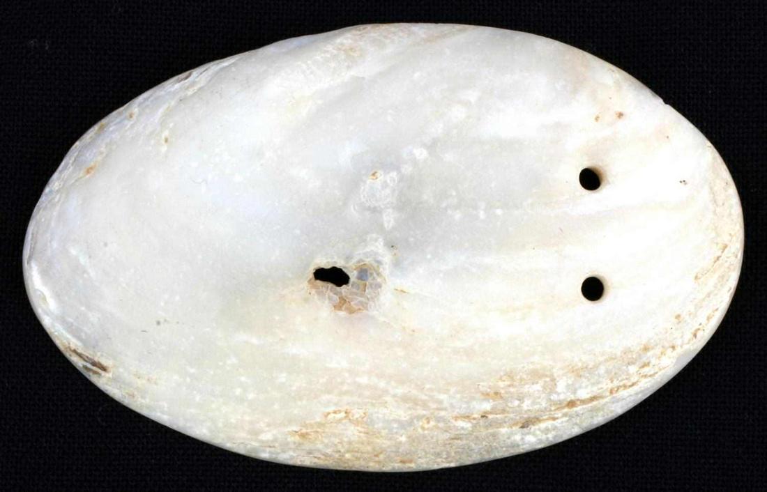 SOUTHEASTERN NATIVE AMERICAN SHELL GORGET: Florida or Georgia found. Very good condition. Nice polished feel. 2 holes drilled. Interior of holes are encrusted with dirt. Measures 3 inches.